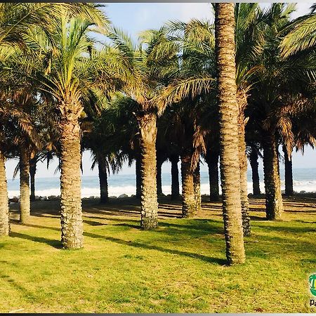 Palmeras Del Golf - Torrequebrada Benalmadena Bilik gambar